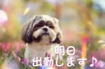 こんばんは