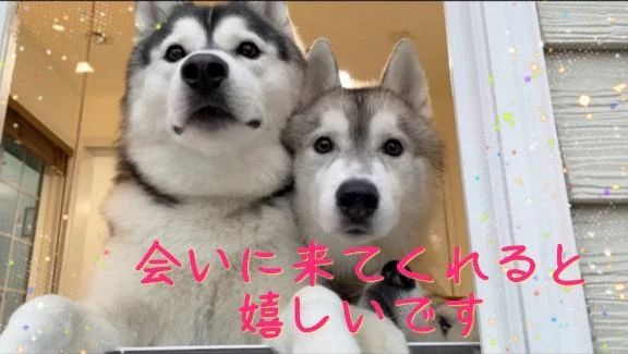 出勤しましたー♪