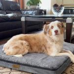 �o�΂��܂�����