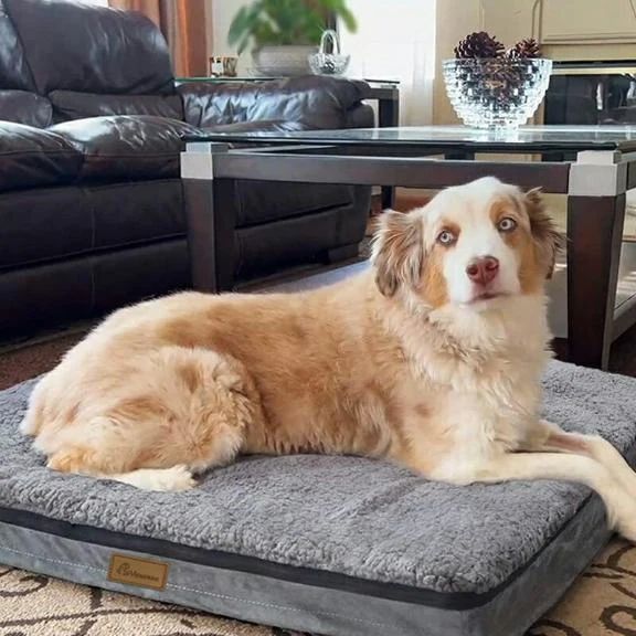 出勤しました♪