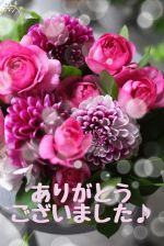 本日おーわり♪