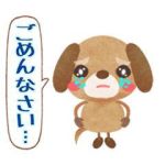 本日のお詫びm(…
