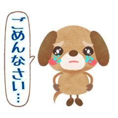 本日のお詫びm(__)m