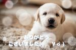 終わり♪