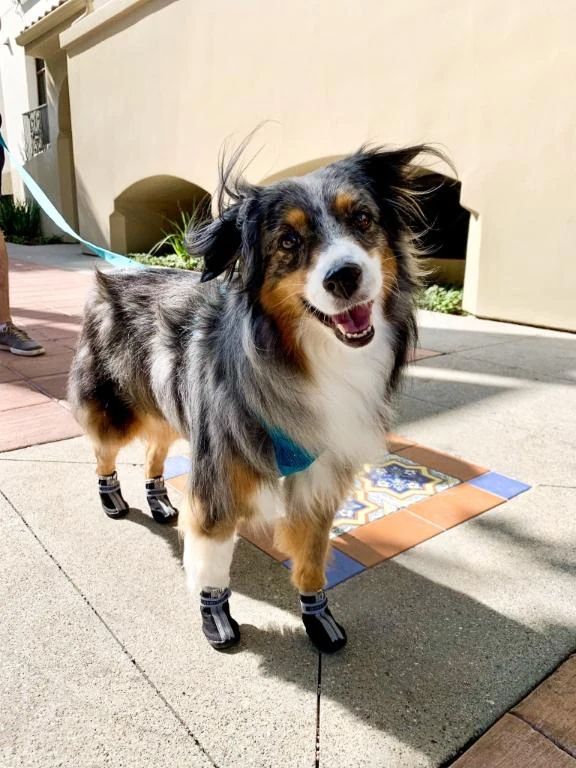 出勤しました。