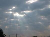 明日は17時迄♪