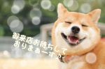 出勤しました♪