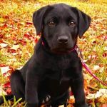 �o�΂��܂�����