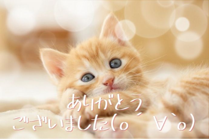 終わりです♪
