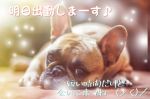 こんばんわ✨