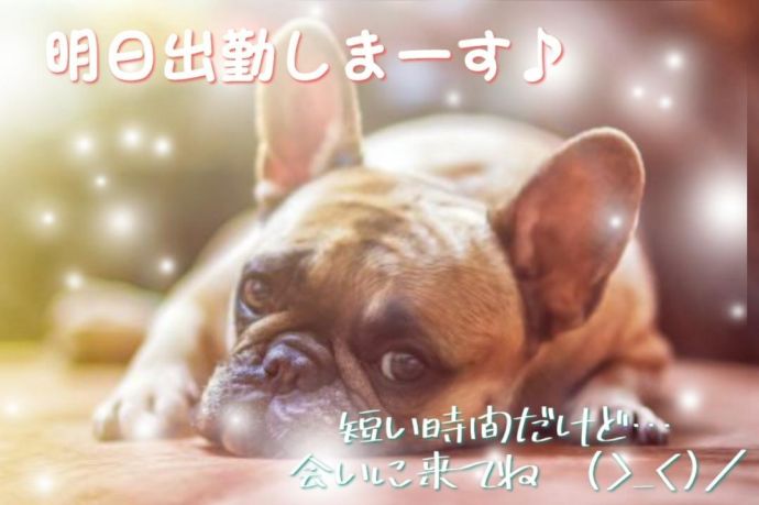 こんばんわ✨