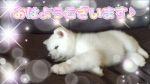 おはようござい…
