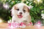 おはようござい…