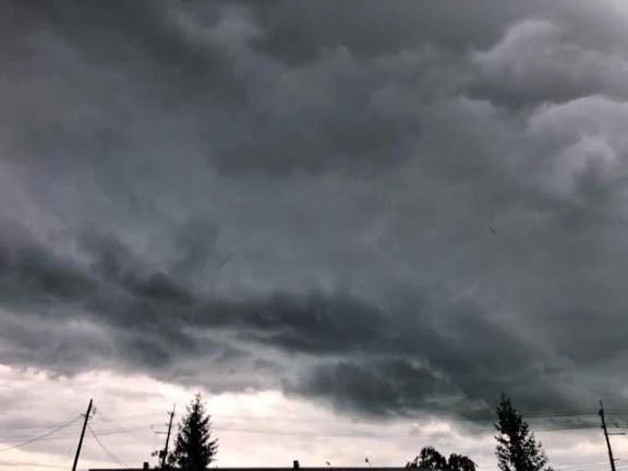 おはようございます♪