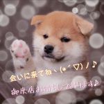 こんにちは♪