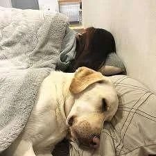 出勤しましたー