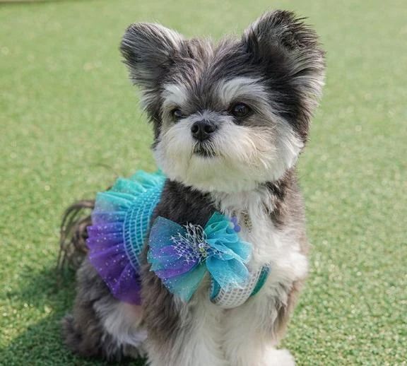 出勤しました♪