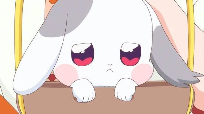 ごめんなさいお休みします