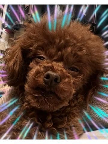 家の残念な次男坊…(´;ω;`)
