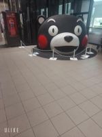 今回も
