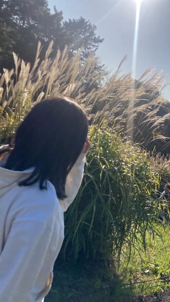 今日は何の日？