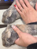 夫よ