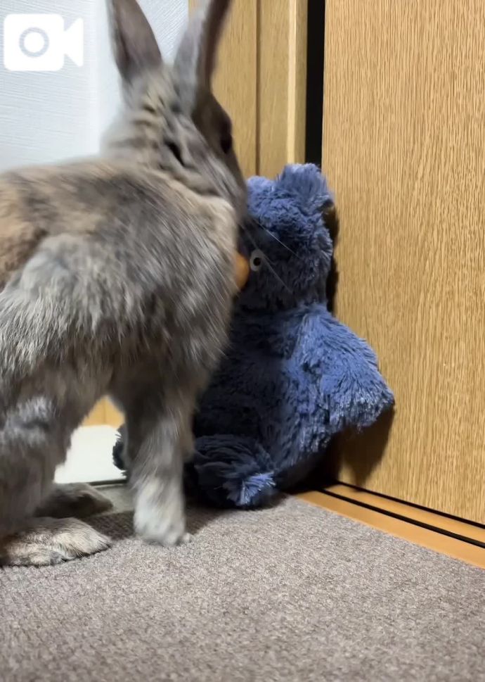 落ち着いて！