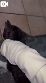 走れないよー
