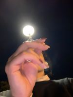 どうしよう