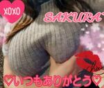 サクラSakura