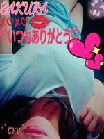 サクラSakura