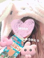 ミナ(MINA)
