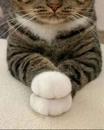 今から〜♫