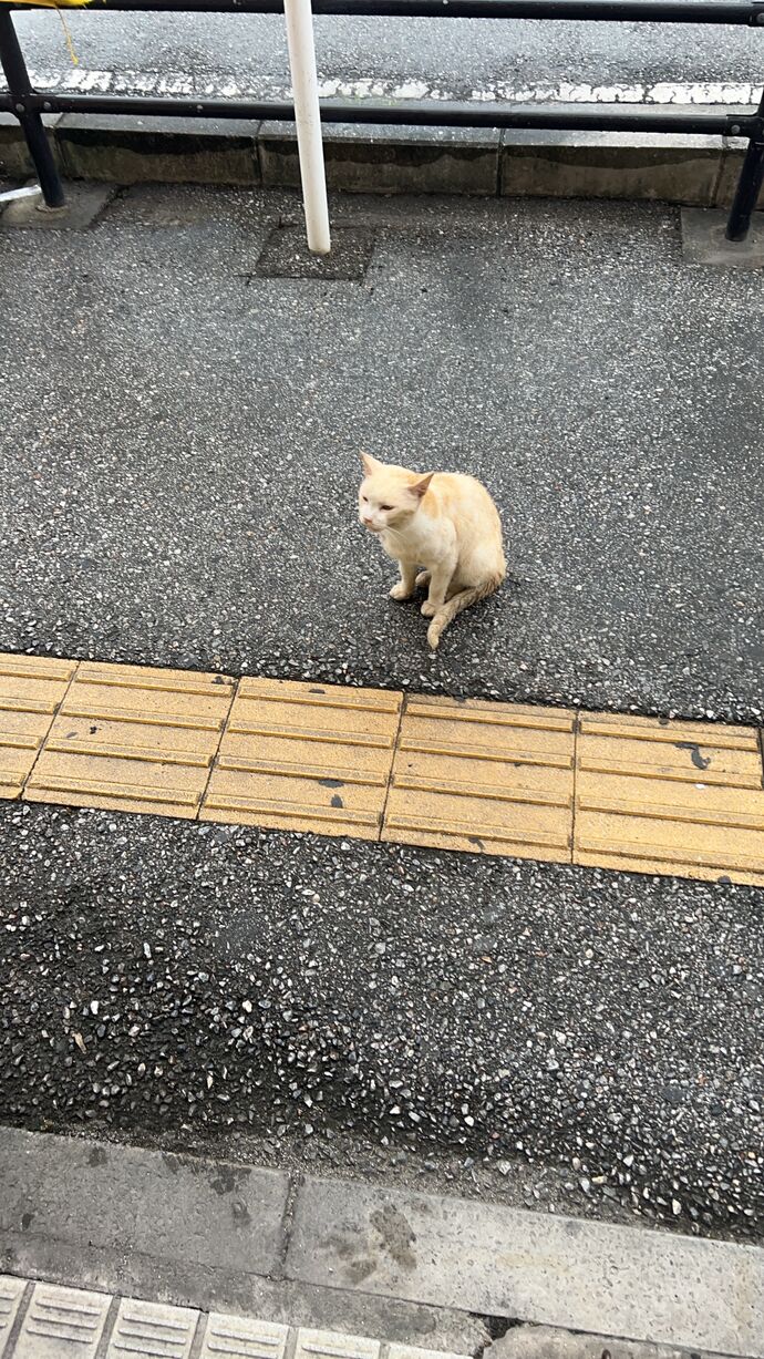 閑散期