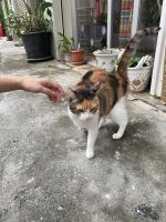 出勤♡