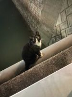 出勤！！