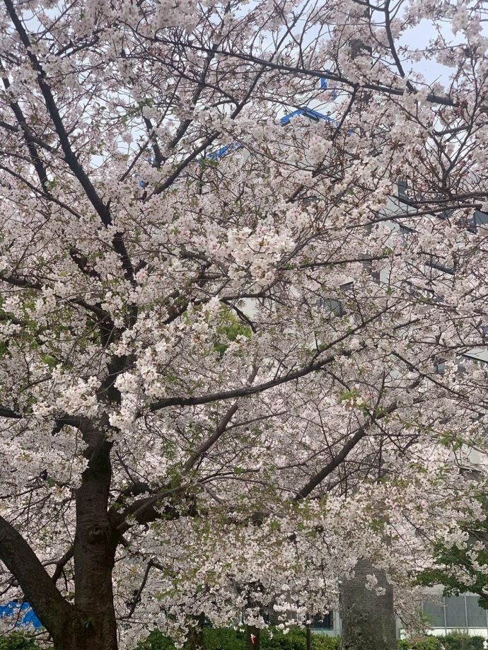 出勤しました♪