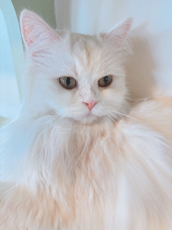 出勤してます♡