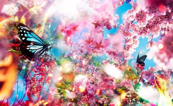 おはようございます✨