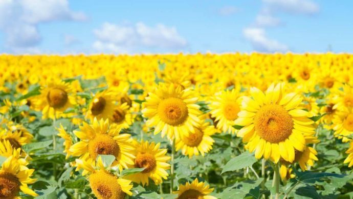 おはようございます☀