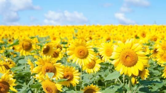 おはようございます☀