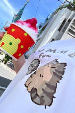 沖縄楽しかった…