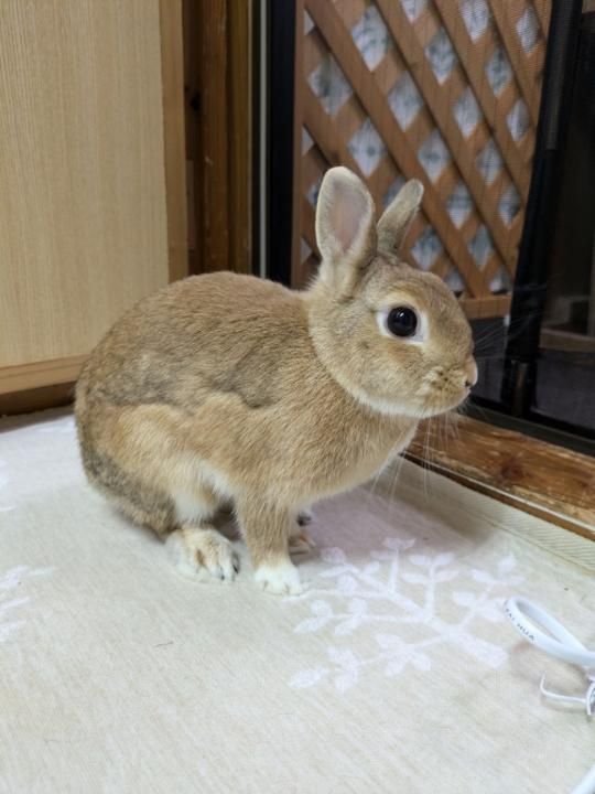 最近ちょっと、、