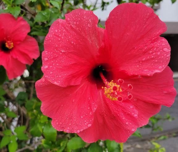 ありがとうございました♡