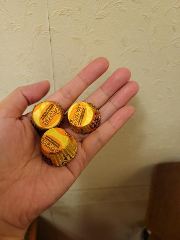 チョコ貰っちゃた