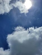 ありがとうござ…