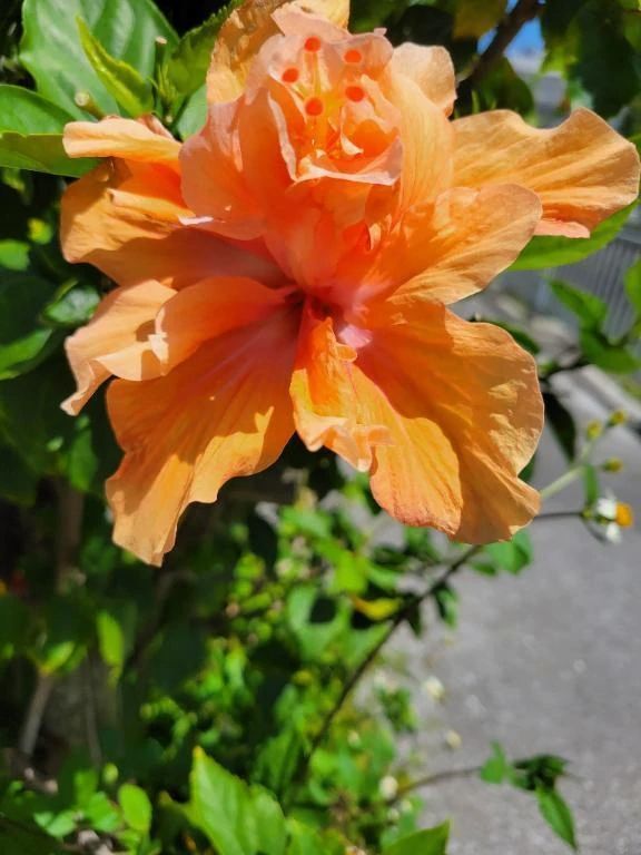 本日出勤します♡