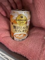 垣花ラン