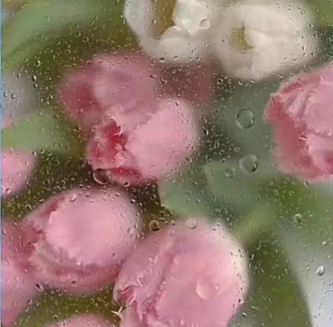 出勤!