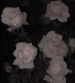 土曜日出勤です